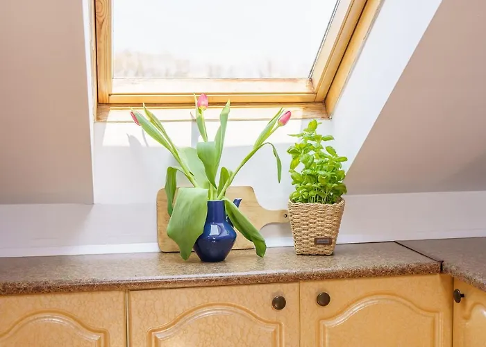 شقة Klimatyczny Apartament Przy Bulwarze Optima كولوبرزيغ