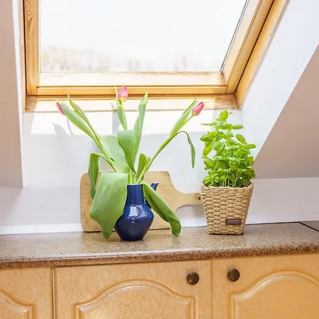 Apartman Klimatyczny Apartament Przy Bulwarze Optima Kołobrzeg